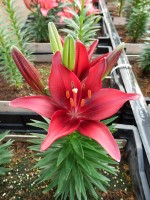 [5013 TinyGhost No02.JPG]